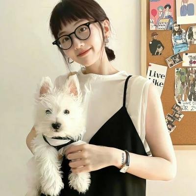 摇滚藏獒：蓝色光芒